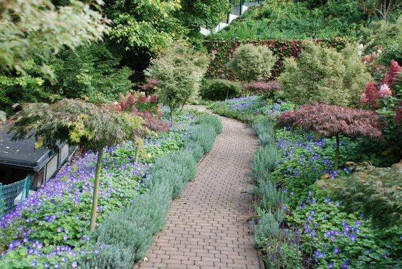 September Gartentipp 6