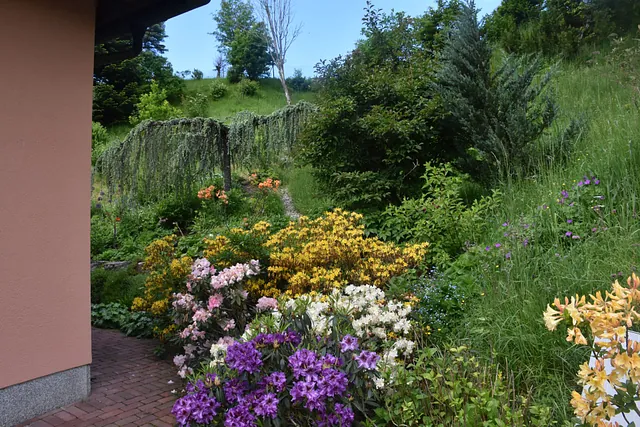 Mai Gartentipp 1