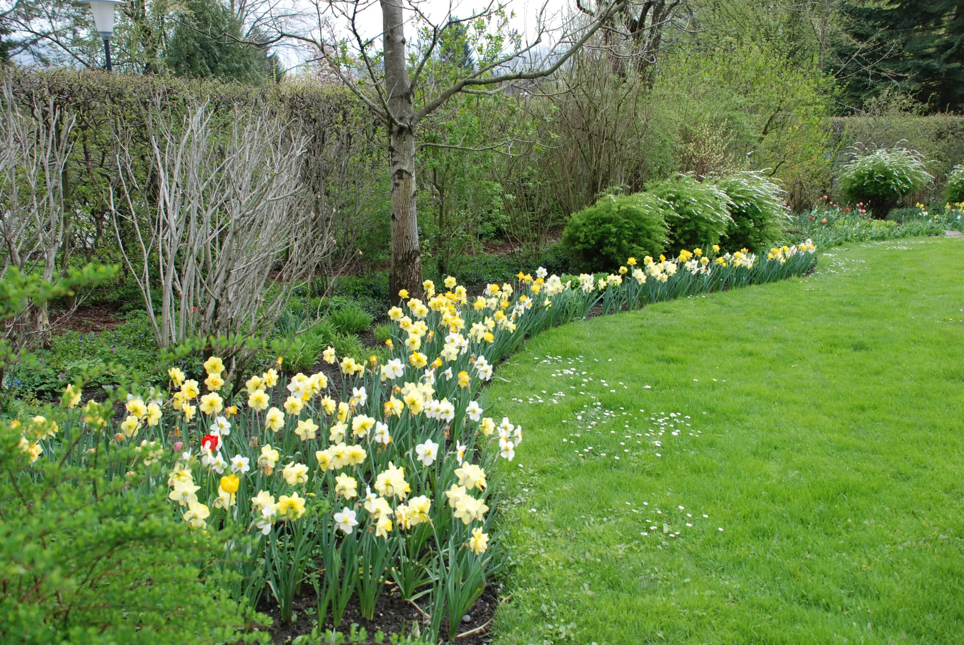 März Gartentipp 7