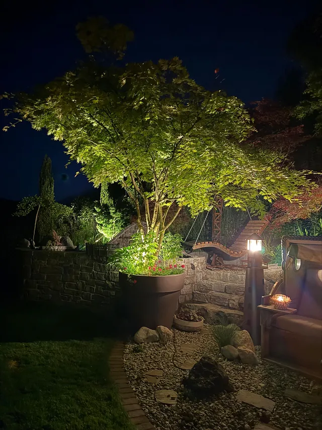 Juni Gartentipp 6