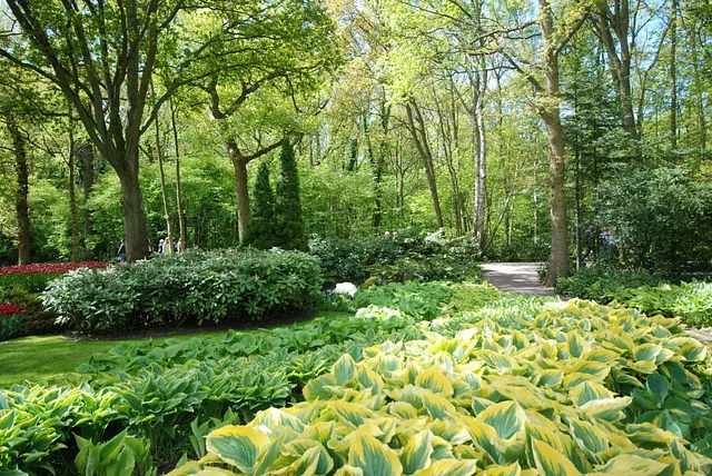 April Gartentipp 3