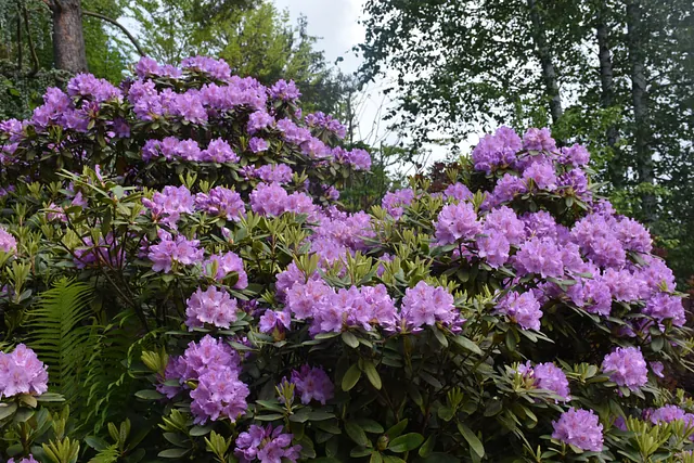 Mai Gartentipp 3