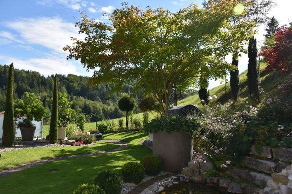 September Gartentipp 3