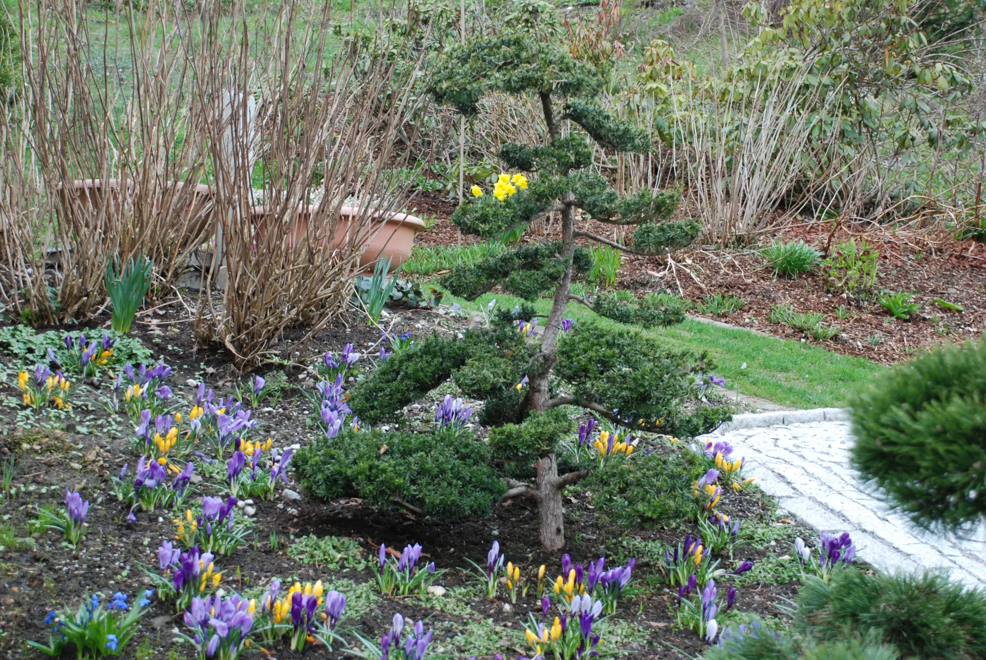 März Gartentipp 6