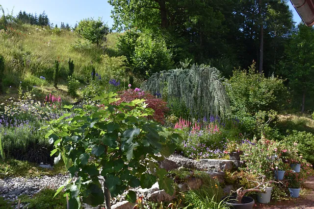 Juli Gartentipp 5
