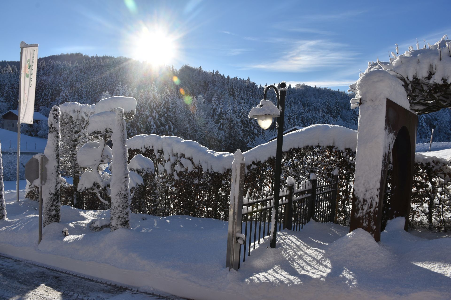 Dezember Gartentipp 8