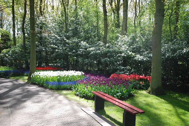 April Gartentipp 8