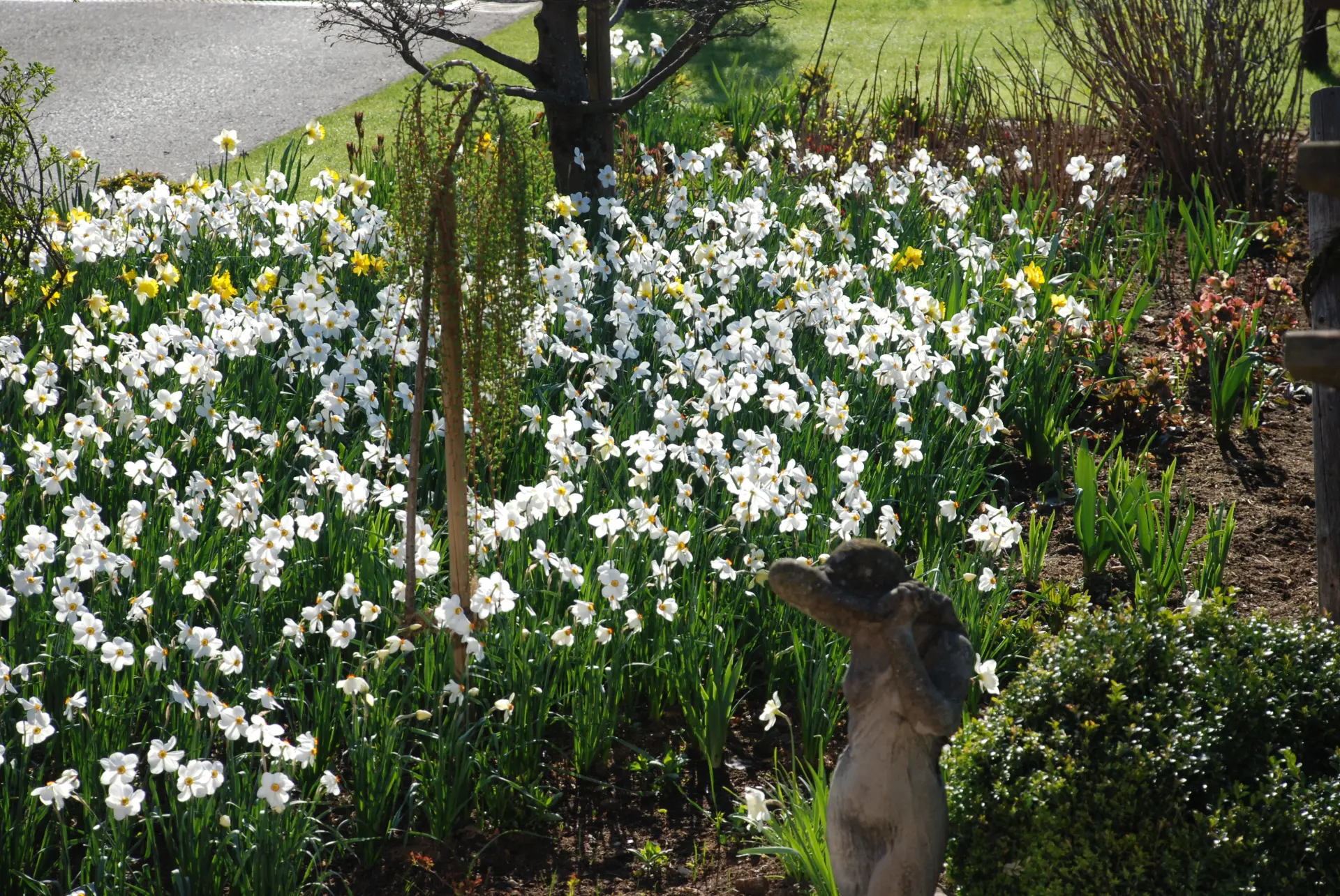 März Gartentipp 8