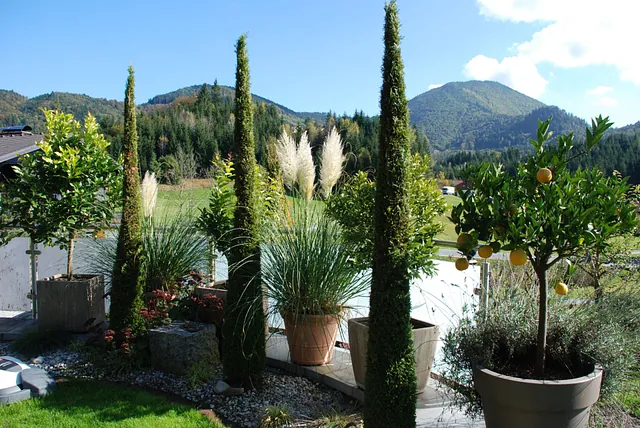 September Gartentipp 8