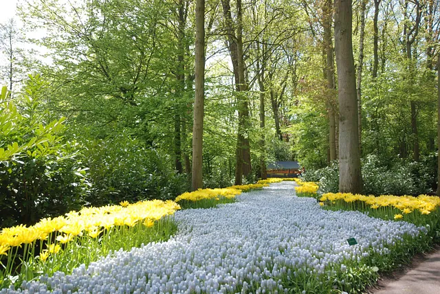 April Gartentipp 7