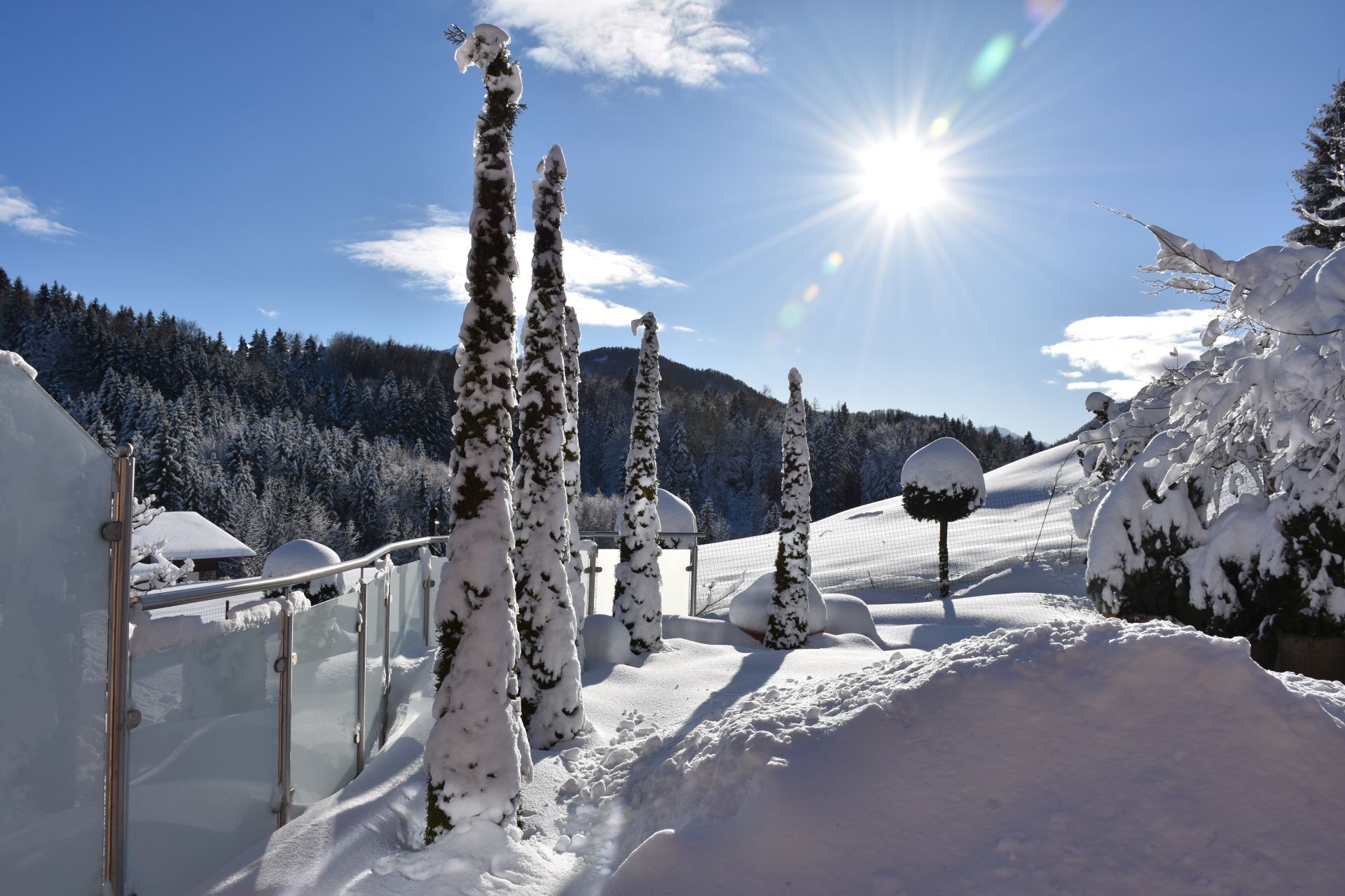 Dezember Gartentipp 4