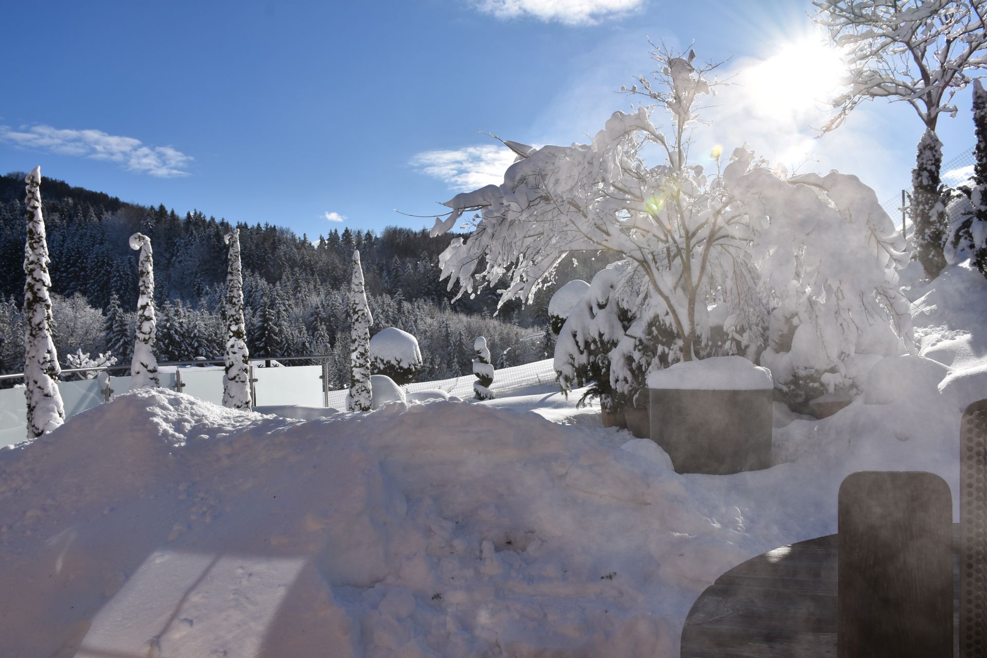 Dezember Gartentipp 5