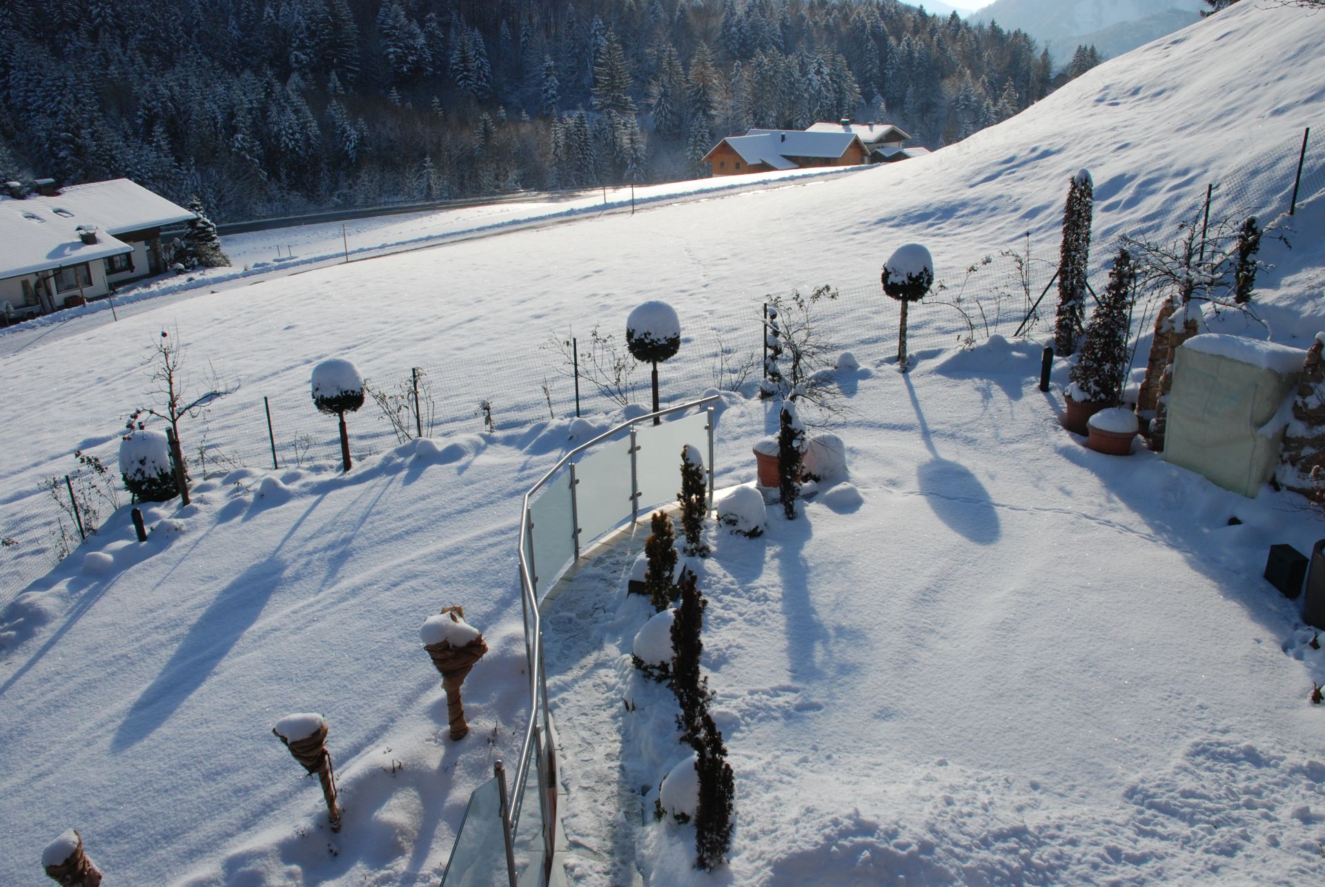 Dezember Gartentipp 1