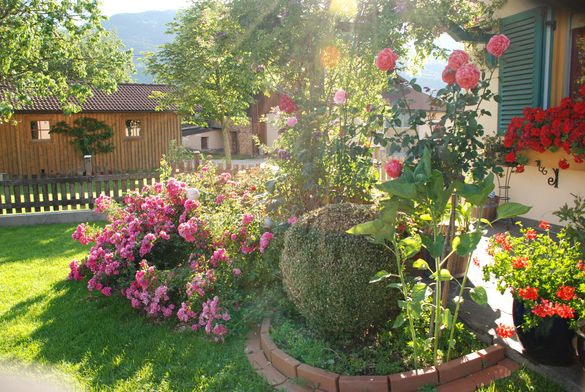 September Gartentipp 7