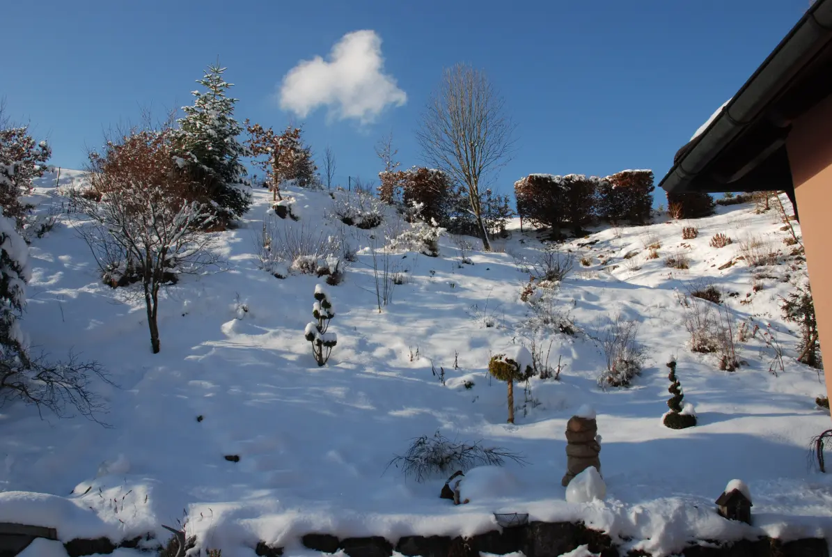November Gartentipp 8