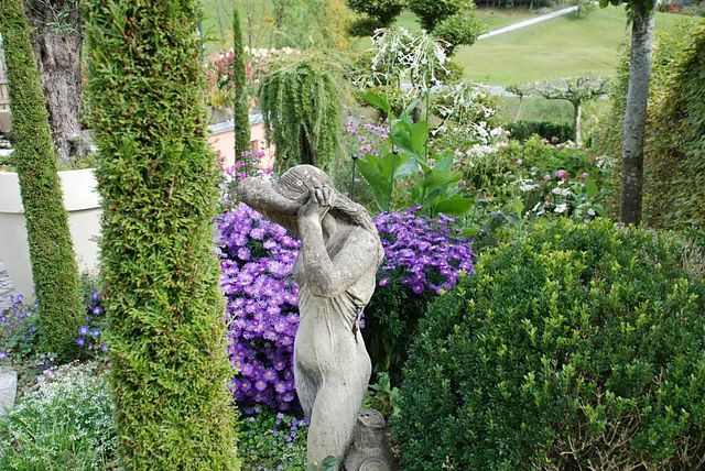 September Gartentipp 7