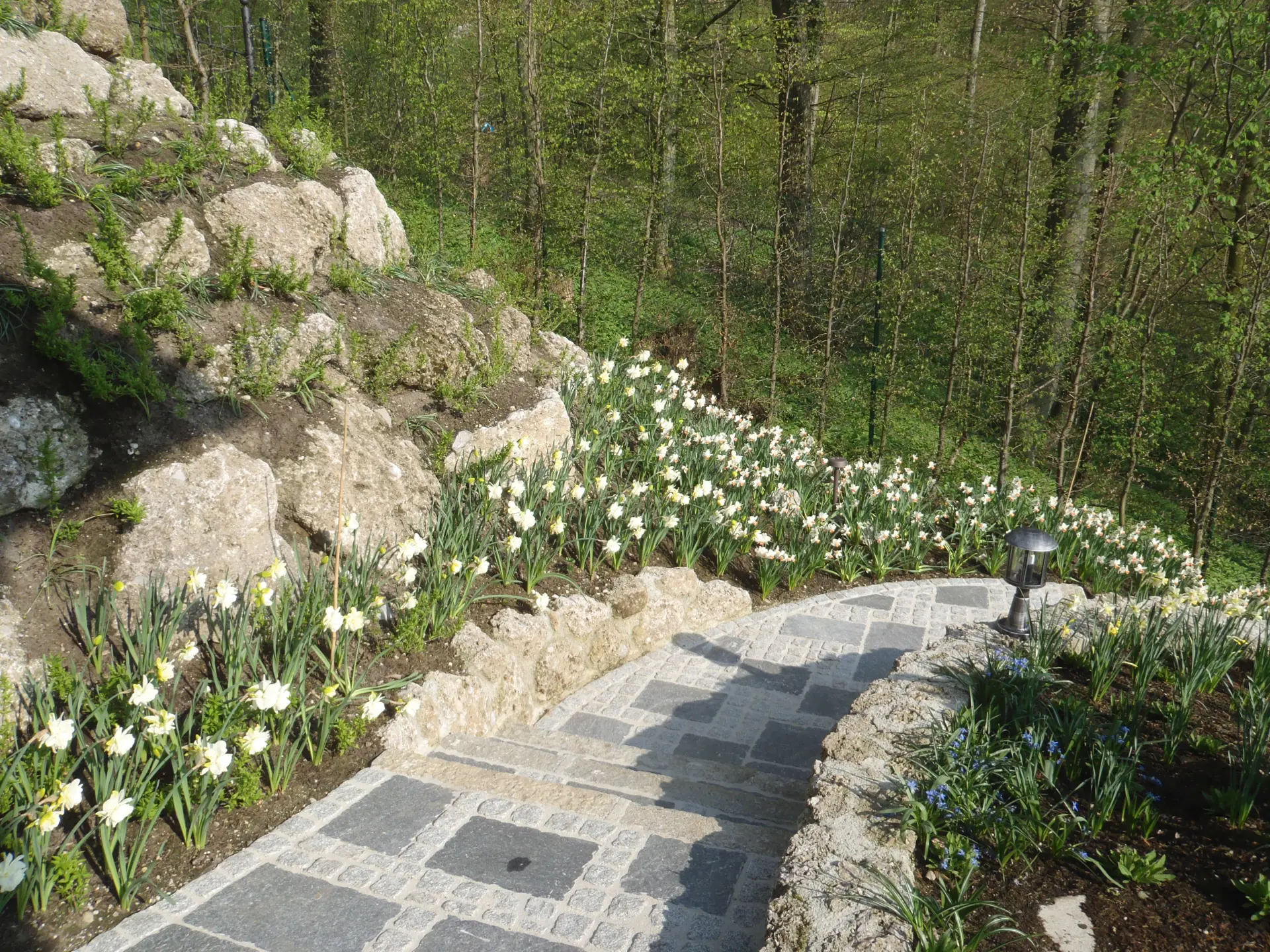 März Gartentipp 5