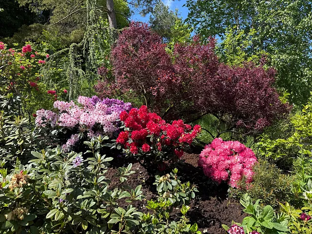Juni Gartentipp 5