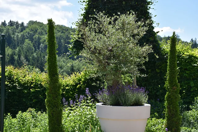 Juli Gartentipp 6