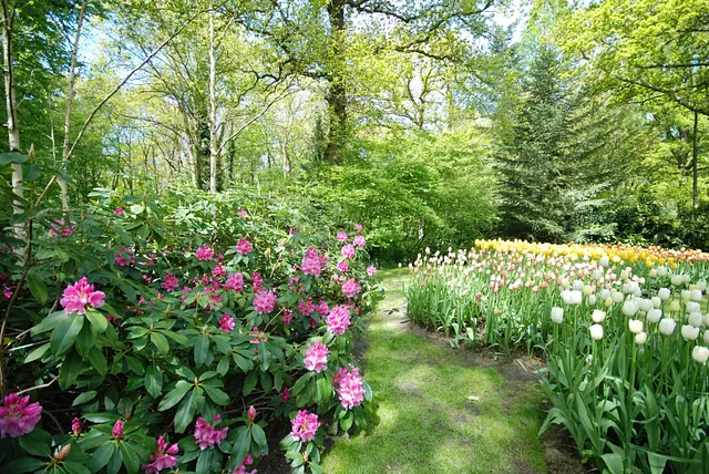 April Gartentipp 1