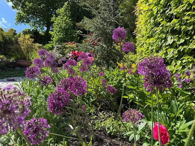 Juni Gartentipp 1