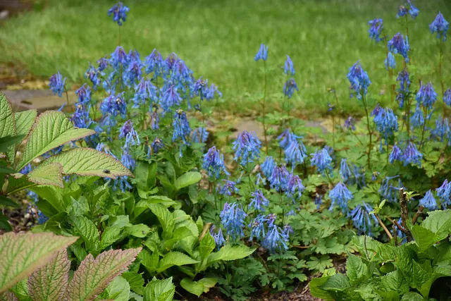 Mai Gartentipp 8