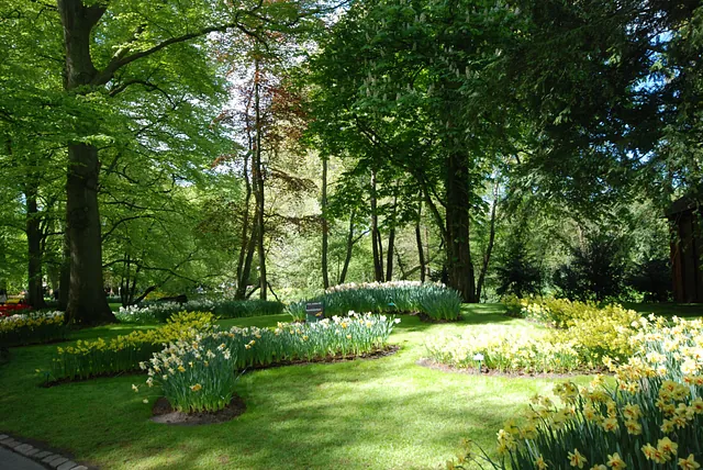 April Gartentipp 6