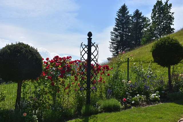 Juli Gartentipp 8