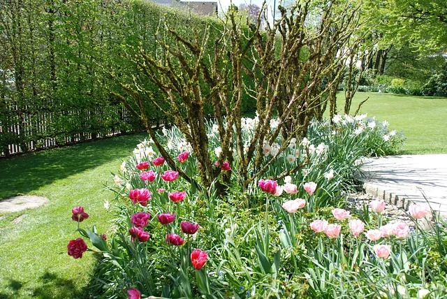 April Gartentipp 2