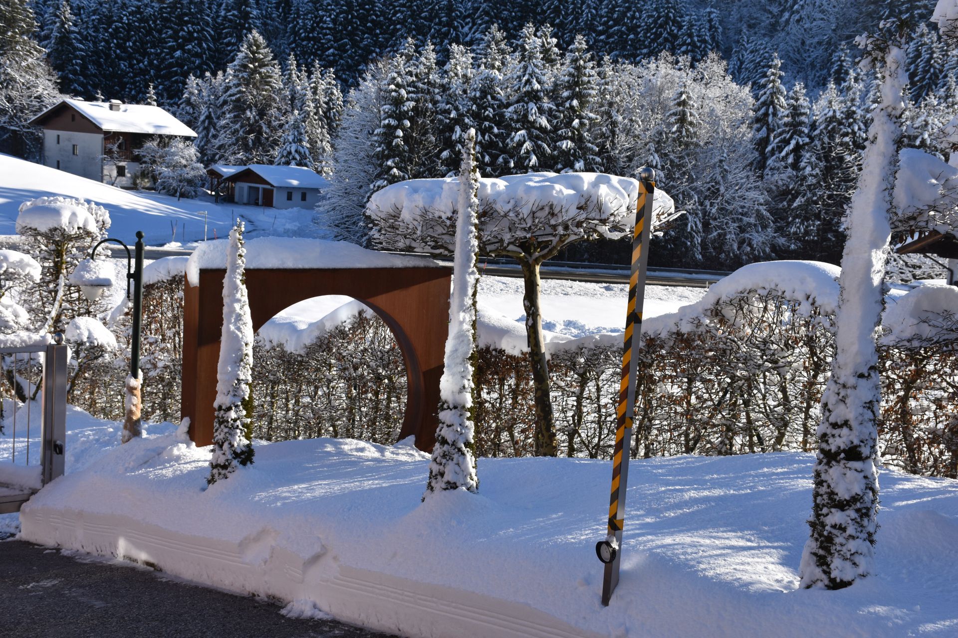 Dezember Gartentipp 7