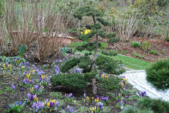 März Gartentipp 6