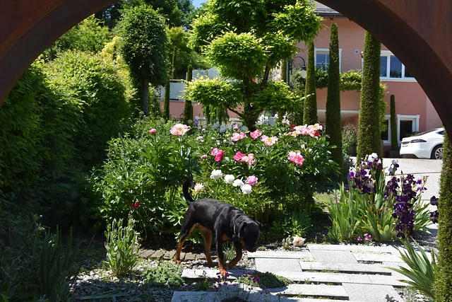Mai Gartentipp 4