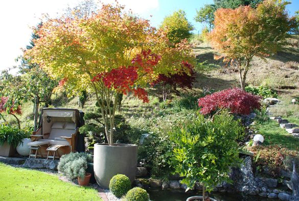 September Gartentipp 4