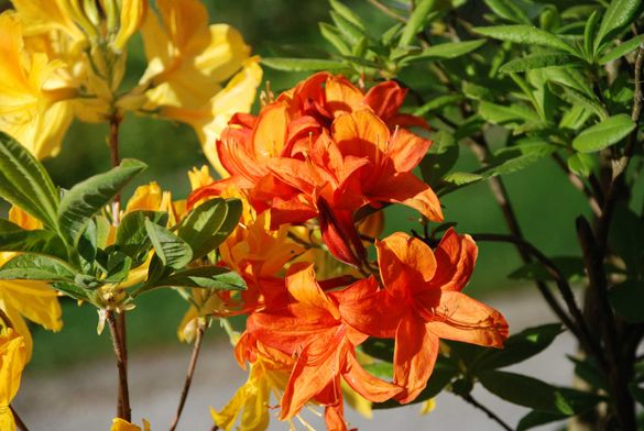 Mail Gartentipp 2