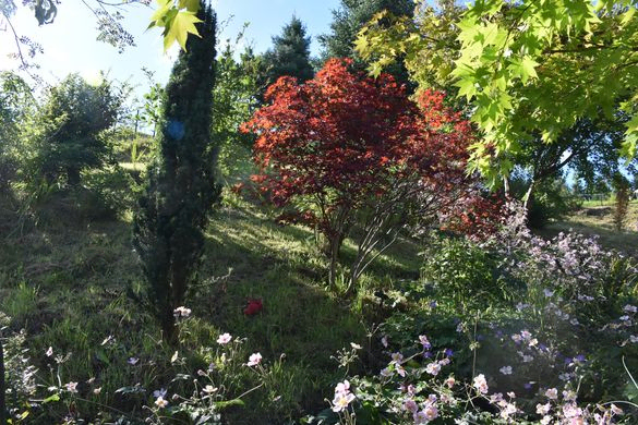 September Gartentipp 2