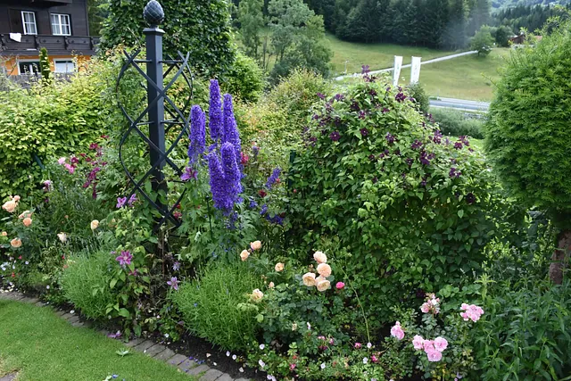 August Gartentipp 2