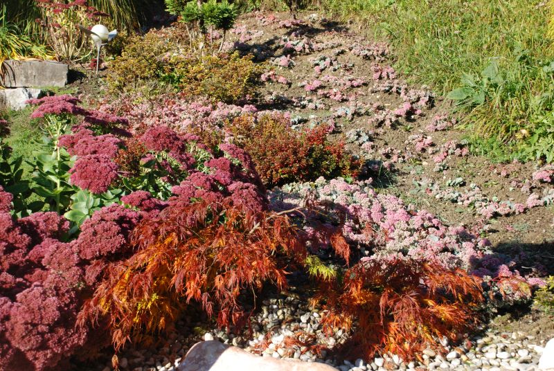 Oktober Gartentipp 3