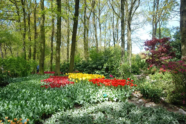April Gartentipp 5
