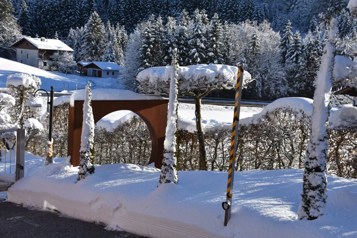 November Gartentipp 7