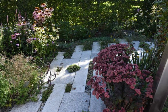 September Gartentipp 1